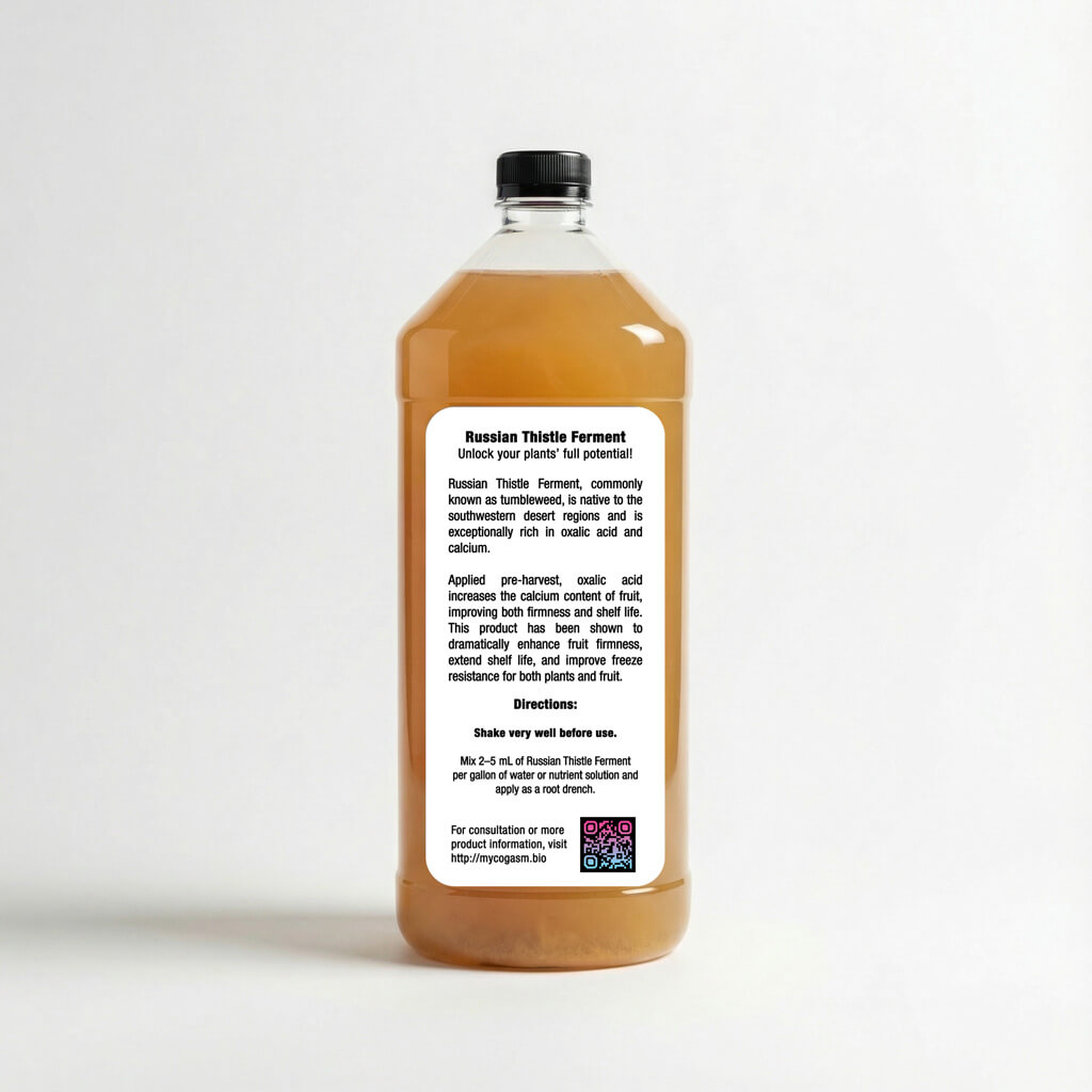 Mycogasm Russian Thistle Ferment